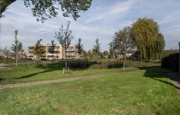 Burgemeester van Berchemstraat 3