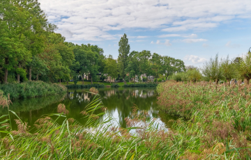 Dalemhof 22