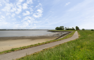 Esdoornhof 7