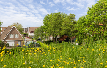 Esdoornhof 7