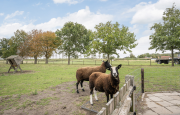 Hogeweg 67