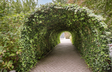 Hogeweg 67