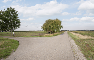 Hogeweg 67