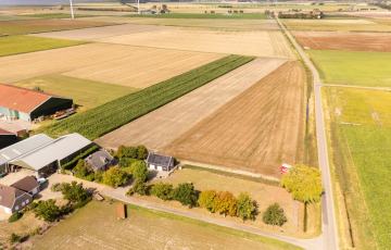 Hogeweg 67