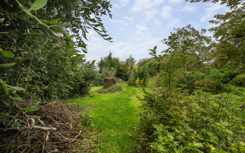 Hogeweg 7