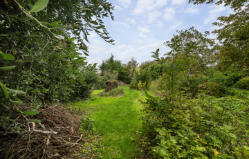 Hogeweg 7