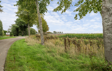 Hogeweg 7