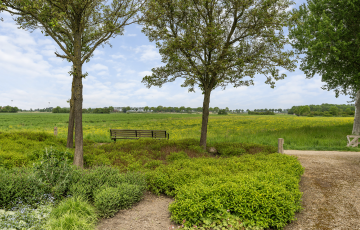 Maartenshof 65