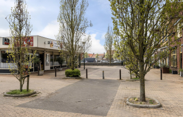 Markt 8
