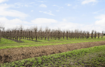 Philips van Dorpstraat 27