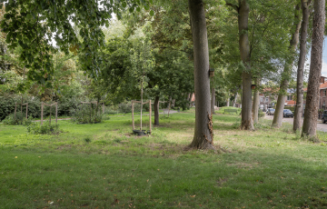 Plantagestraat 13
